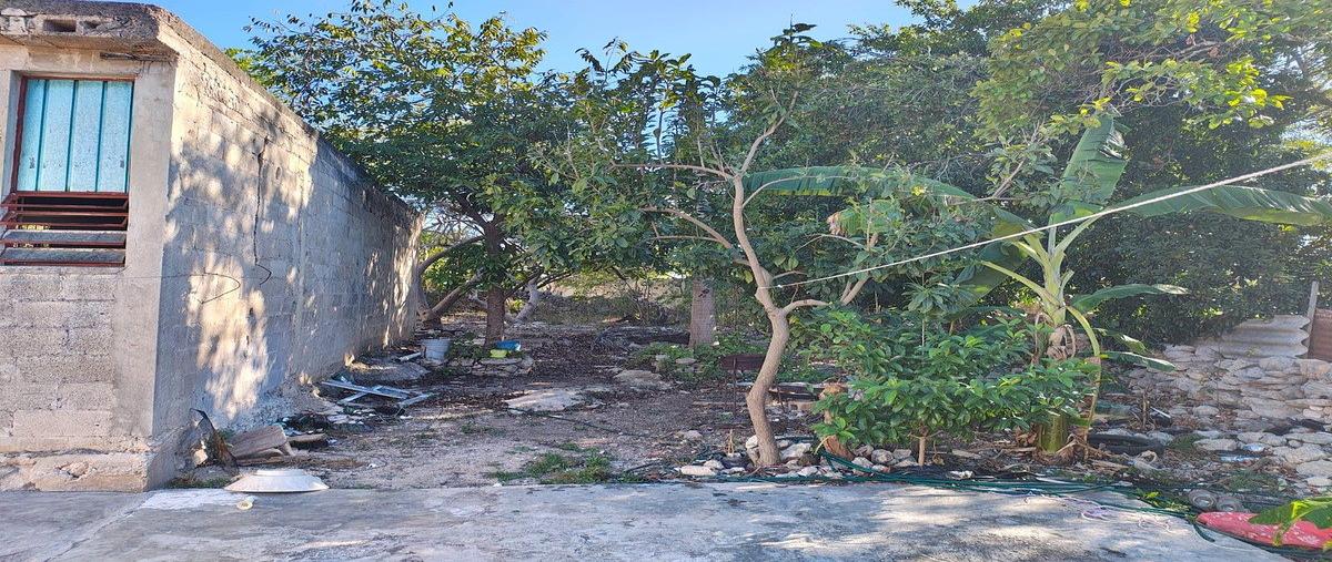 Foto de casa en venta en 67 , 5 colonias, mérida, yucatán, 0 No. 06