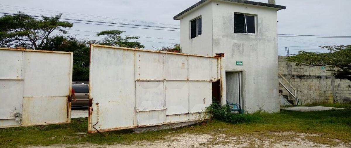 Foto de terreno habitacional en 67 , playa norte, carmen, campeche, 24095878 foto 05 Foto de terreno habitacional en renta en 67 , playa norte, carmen, campeche, 24095878 No. 05