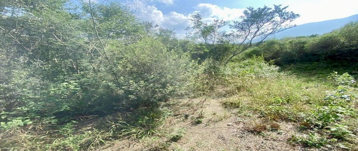 Foto de terreno habitacional en venta en 67383 cdad. de allenden.l. , ciudad allende, allende, nuevo león, 30817920 No. 05