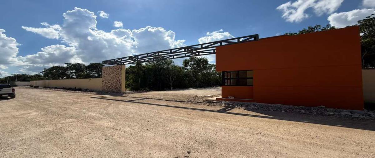 Foto de terreno habitacional en venta en 69 , dzitya, mérida, yucatán, 0 No. 06