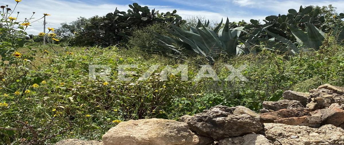 Foto de terreno habitacional en venta en 6g92+2m9, 37915 san pedro de los pozos, gto. , san pedro, san luis de la paz, guanajuato, 0 No. 05