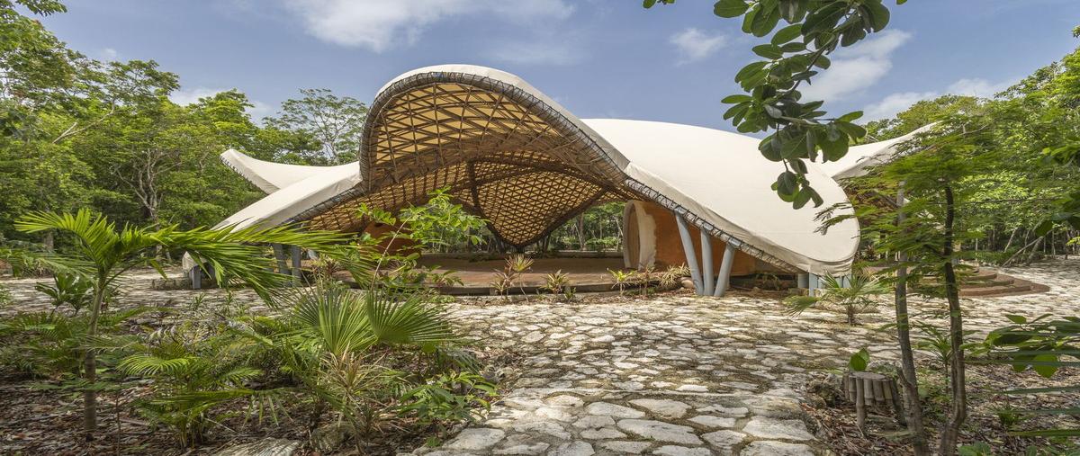 Foto de terreno habitacional en 6hf3+pj , tulum centro, tulum, quintana roo, 0 foto 05 Foto de terreno habitacional en venta en 6hf3+pj , tulum centro, tulum, quintana roo, 0 No. 05