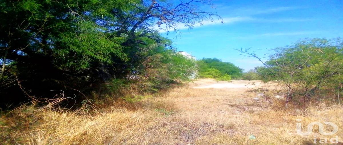 Foto de terreno habitacional en venta en 6ta manzana barrio hidalgo , hidalgo sur 6ta. manzana, tecozautla, hidalgo, 30334290 No. 03