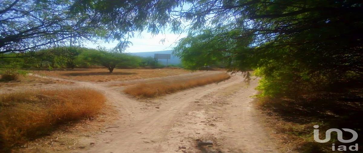 Foto de terreno habitacional en venta en 6ta manzana barrio hidalgo , hidalgo sur 6ta. manzana, tecozautla, hidalgo, 30334290 No. 04