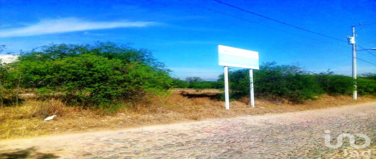 Foto de terreno habitacional en venta en 6ta manzana barrio hidalgo , hidalgo sur 6ta. manzana, tecozautla, hidalgo, 30334290 No. 05