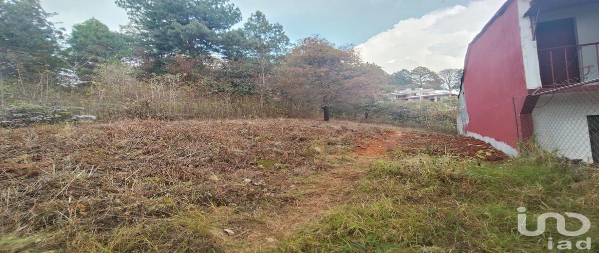 Foto de terreno habitacional en venta en 7 96, zacualpan de ecatepec, san cristóbal de las casas, chiapas, 31061440 No. 03