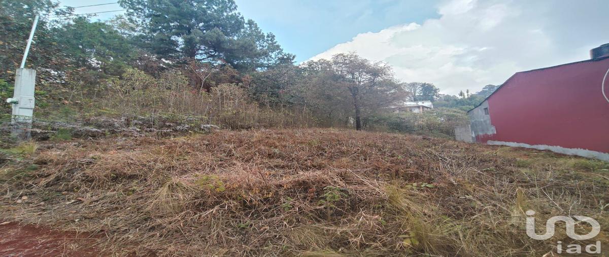 Foto de terreno habitacional en venta en 7 96, zacualpan de ecatepec, san cristóbal de las casas, chiapas, 31061440 No. 04