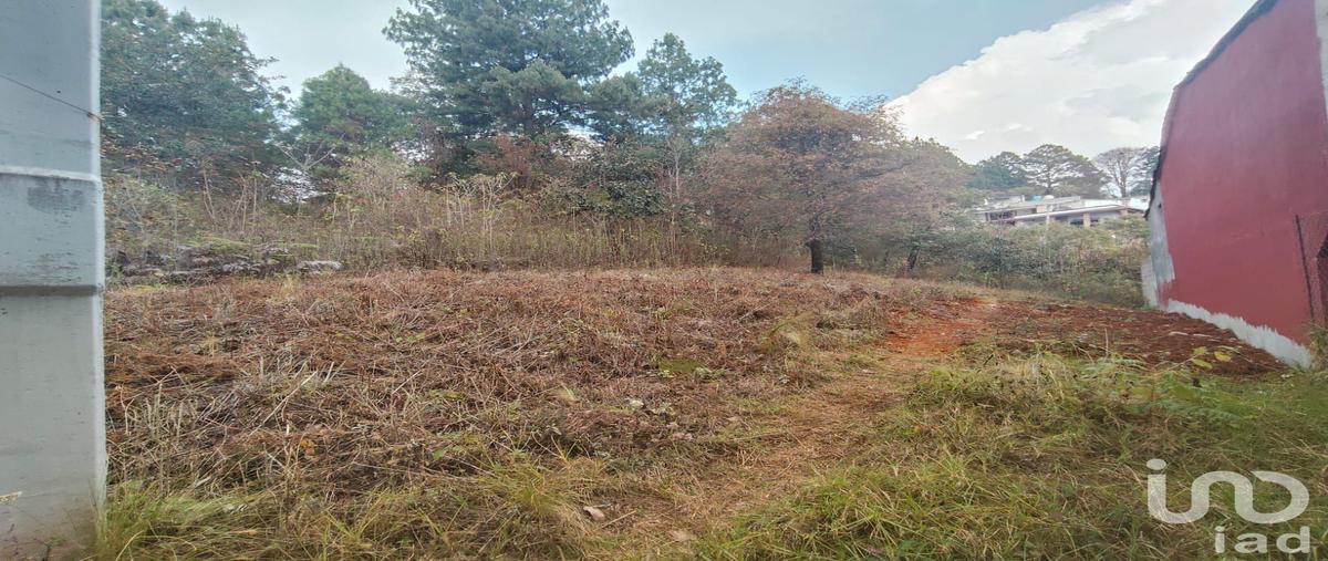 Foto de terreno habitacional en venta en 7 96, zacualpan de ecatepec, san cristóbal de las casas, chiapas, 31061440 No. 05