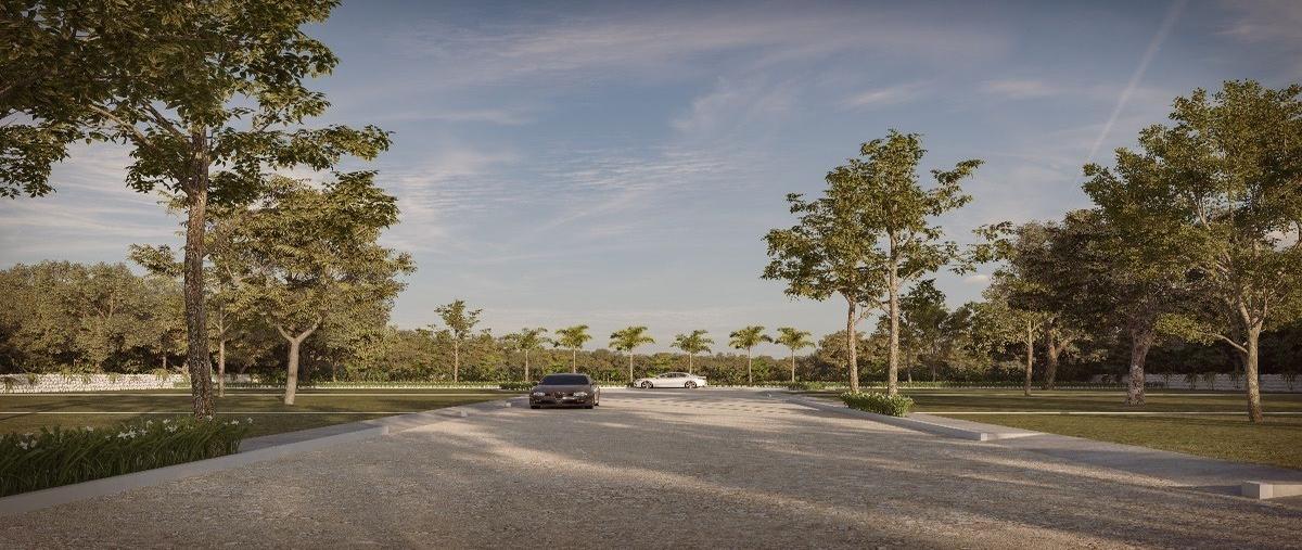 Foto de terreno habitacional en venta en 7 , baca, baca, yucatán, 26695459 No. 04