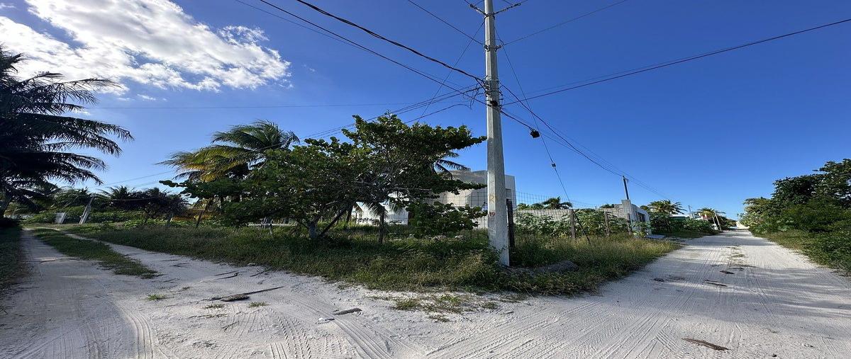 Foto de terreno habitacional en venta en 7 , chelem, progreso, yucatán, 0 No. 04