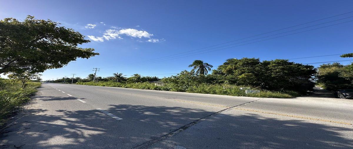 Foto de terreno habitacional en venta en 7 , chelem, progreso, yucatán, 0 No. 05