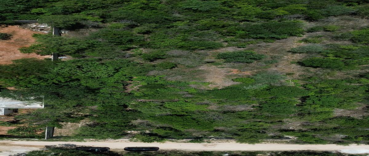 Foto de terreno habitacional en 7 , cholul, mérida, yucatán, 0 foto 01 Foto de terreno habitacional en venta en 7 , cholul, mérida, yucatán, 0 No. 01