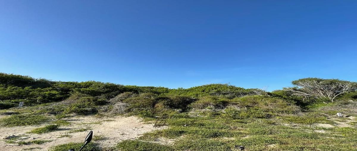 Foto de terreno habitacional en venta en 7 , chuburna puerto, progreso, yucatán, 28786665 No. 04