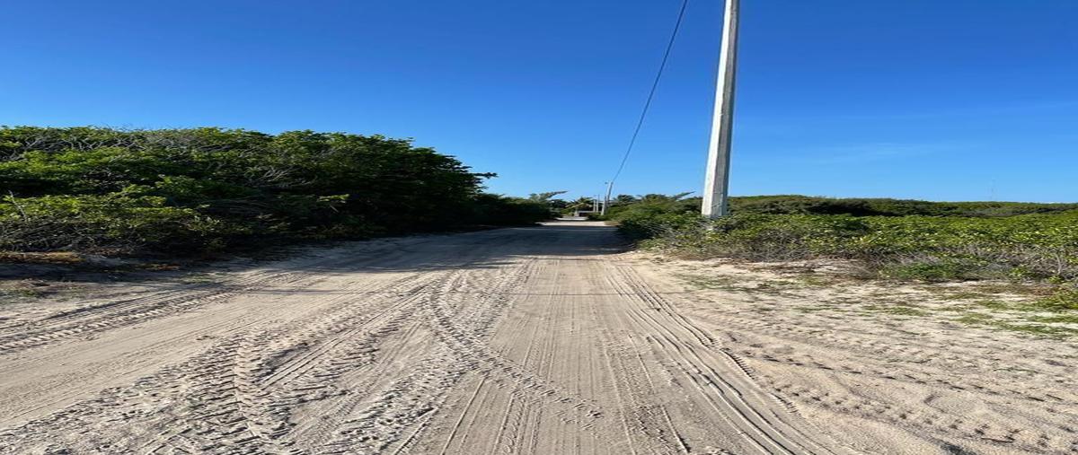 Foto de terreno habitacional en venta en 7 , chuburna puerto, progreso, yucatán, 28786665 No. 05