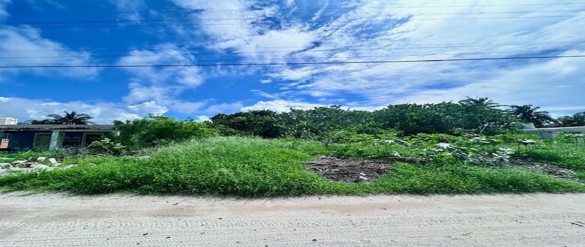 Foto de terreno habitacional en 7 , chuburna puerto, progreso, yucatán, 30441724 foto 04 Foto de terreno habitacional en venta en 7 , chuburna puerto, progreso, yucatán, 30441724 No. 04