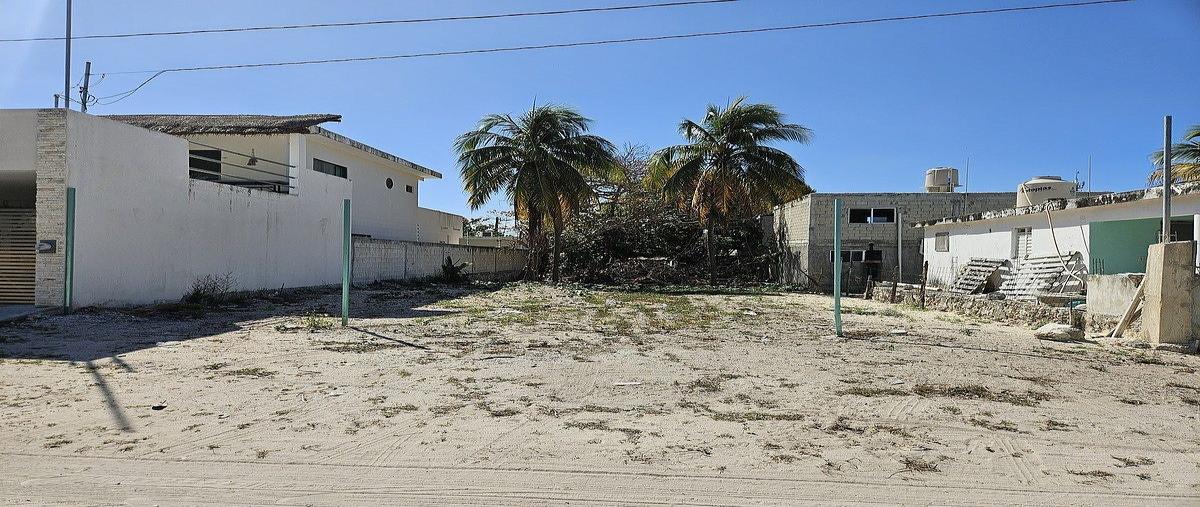 Foto de terreno habitacional en 7 , chuburna puerto, progreso, yucatán, 0 foto 04 Foto de terreno habitacional en venta en 7 , chuburna puerto, progreso, yucatán, 0 No. 04