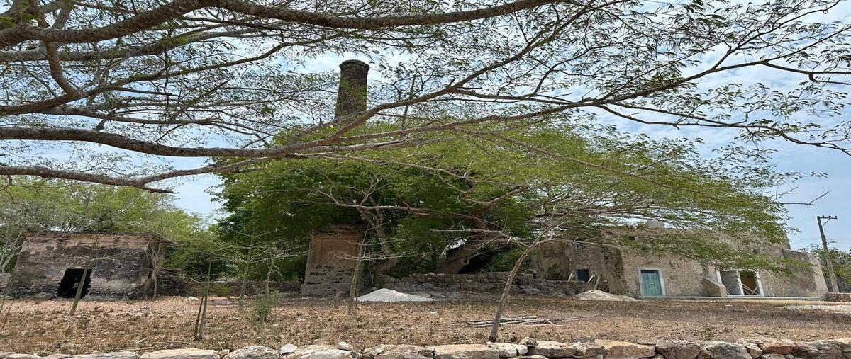 Foto de terreno habitacional en venta en 7 , ticopo, acanceh, yucatán, 28267837 No. 05