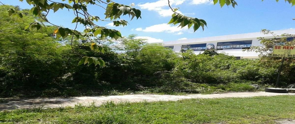 Foto de terreno comercial en renta en 70 , caucel, mérida, yucatán, 27722587 No. 03