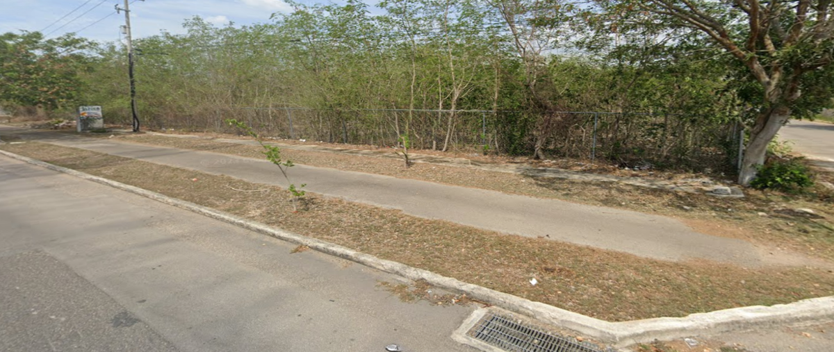 Foto de terreno comercial en renta en 70 , caucel, mérida, yucatán, 28031801 No. 02