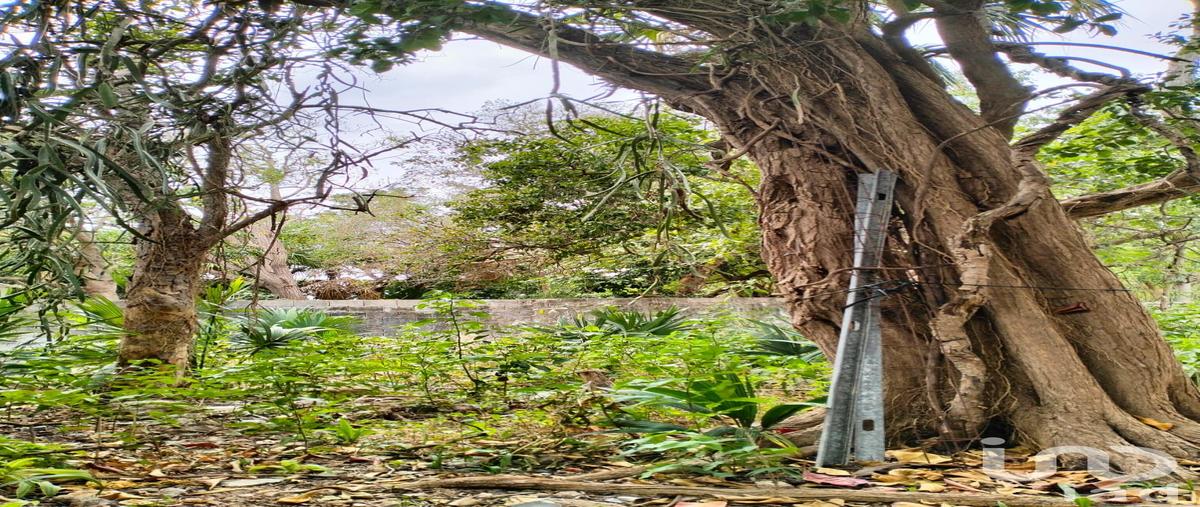 Foto de terreno habitacional en venta en 71 618, merida centro, mérida, yucatán, 28722520 No. 05