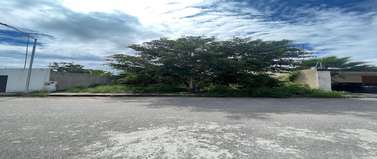 Foto de terreno habitacional en venta en 71 , dzitya, mérida, yucatán, 30377244 No. 05