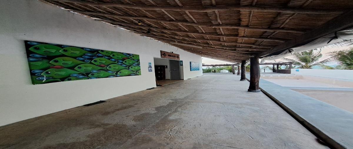 Foto de local en venta en 71 , ismael garcia, progreso, yucatán, 27826875 No. 04