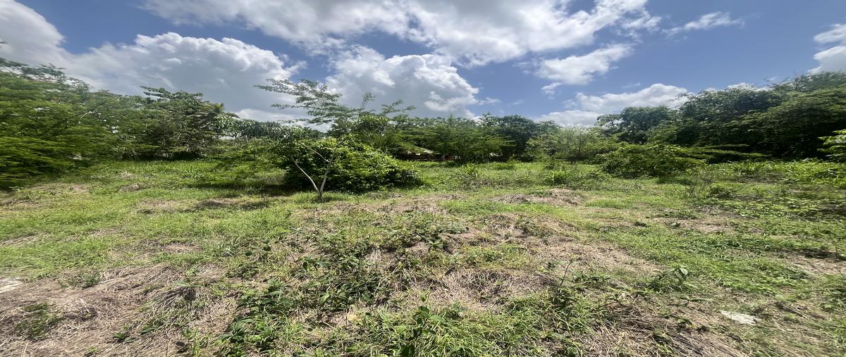 Foto de terreno habitacional en venta en 71 , residencial del parque, tizimín, yucatán, 30712476 No. 03