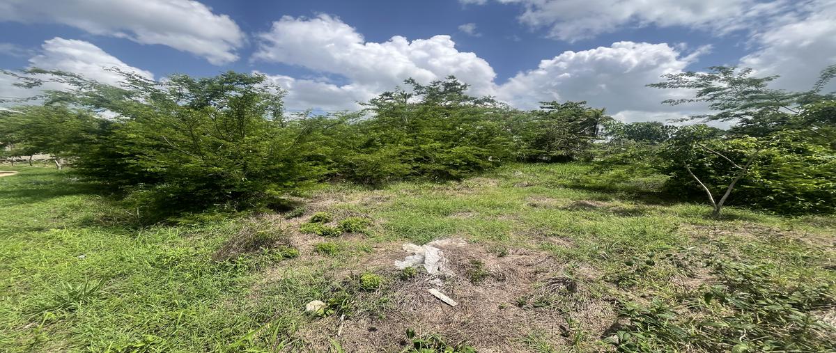 Foto de terreno habitacional en venta en 71 , residencial del parque, tizimín, yucatán, 30712476 No. 04