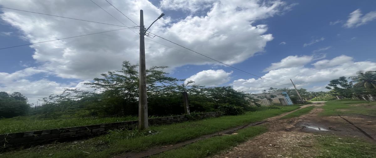 Foto de terreno habitacional en venta en 71 , residencial del parque, tizimín, yucatán, 30712476 No. 05