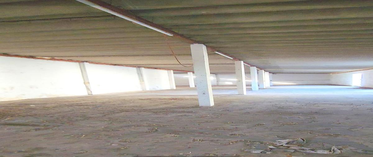 Foto de bodega en 73 , merida centro, mérida, yucatán, 29758331 foto 04 Foto de bodega en venta en 73 , merida centro, mérida, yucatán, 29758331 No. 04