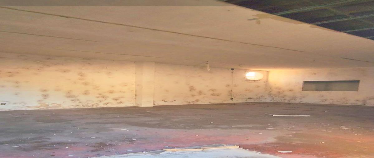 Foto de bodega en 73 , merida centro, mérida, yucatán, 29758331 foto 05 Foto de bodega en venta en 73 , merida centro, mérida, yucatán, 29758331 No. 05