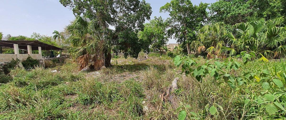 Foto de terreno habitacional en venta en 73 , merida centro, mérida, yucatán, 0 No. 06