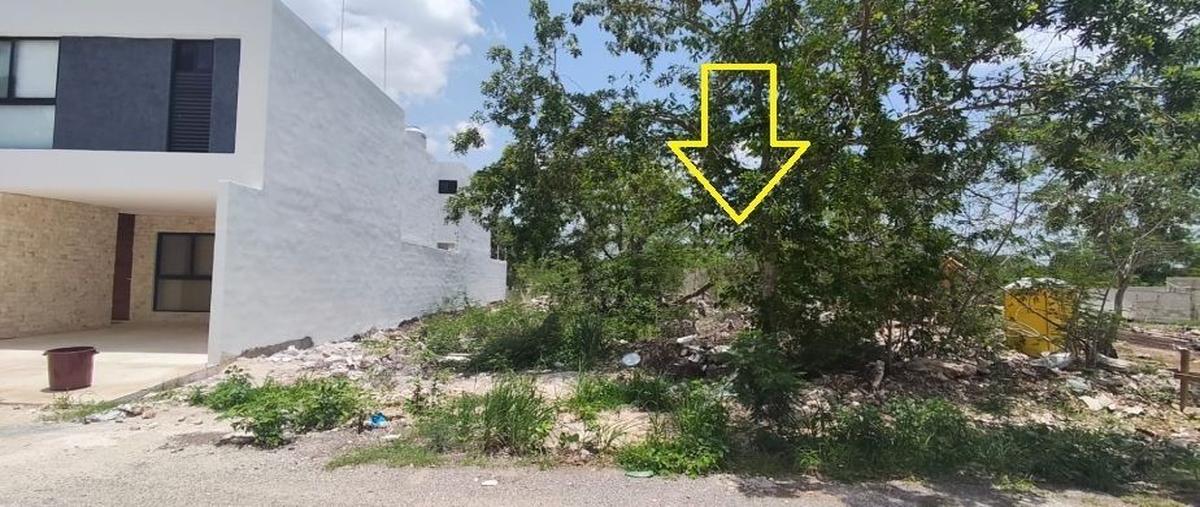 Foto de terreno habitacional en venta en 74 , dzitya, mérida, yucatán, 0 No. 05