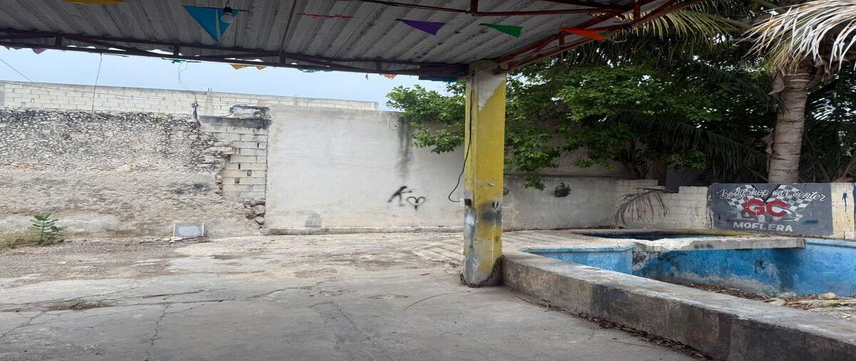 Foto de local en renta en 76 , progreso de castro centro, progreso, yucatán, 0 No. 05