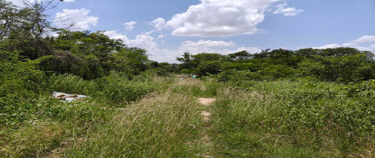 Foto de terreno habitacional en venta en 78 , san juan bautista, mérida, yucatán, 30274631 No. 05