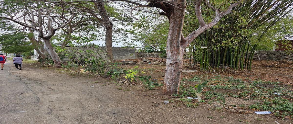 Foto de terreno habitacional en venta en 78990 , villas del sur, mérida, yucatán, 31002698 No. 03