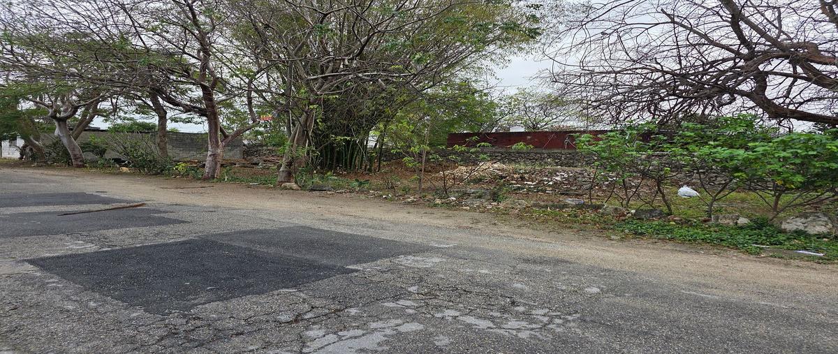 Foto de terreno habitacional en venta en 78990 , villas del sur, mérida, yucatán, 31002698 No. 04