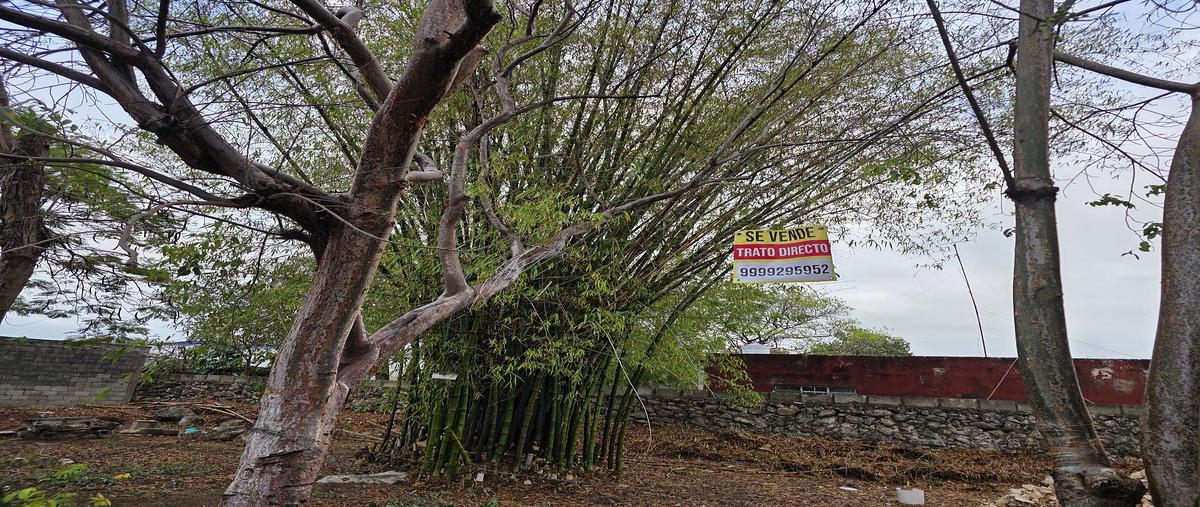 Foto de terreno habitacional en venta en 78990 , villas del sur, mérida, yucatán, 31002698 No. 05
