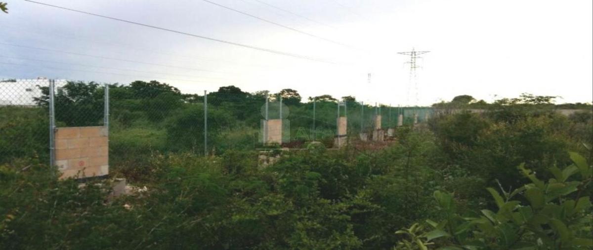 Foto de terreno habitacional en venta en 79 diagonal entre 40 diagonal y 38 19992, temozon norte, mérida, yucatán, 25993490 No. 05