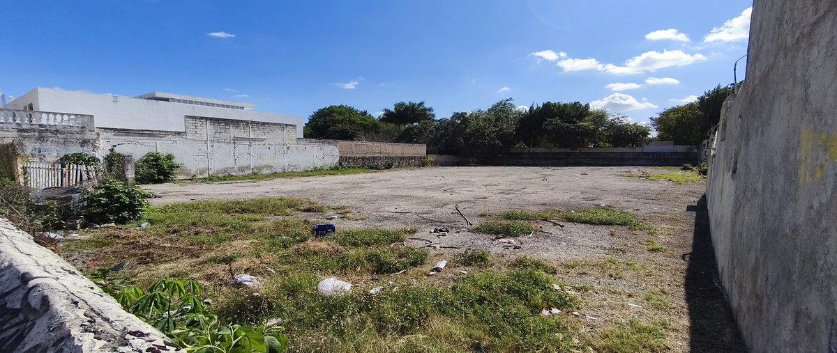 Foto de terreno habitacional en 79 , merida centro, mérida, yucatán, 30707072 foto 03 Foto de terreno habitacional en renta en 79 , merida centro, mérida, yucatán, 30707072 No. 03