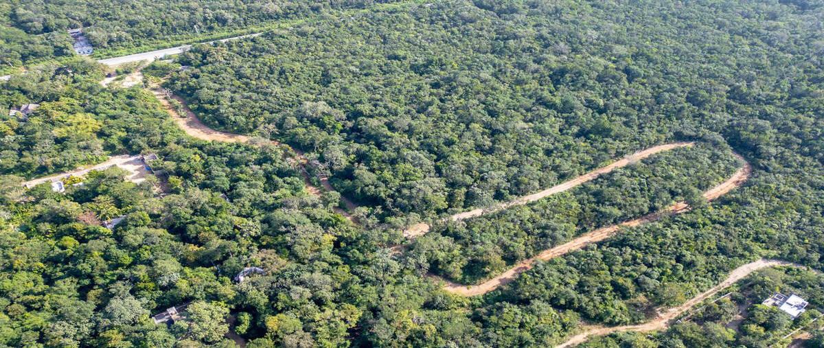 Foto de rancho en venta en 7fqv+gw , tulum centro, tulum, quintana roo, 0 No. 05