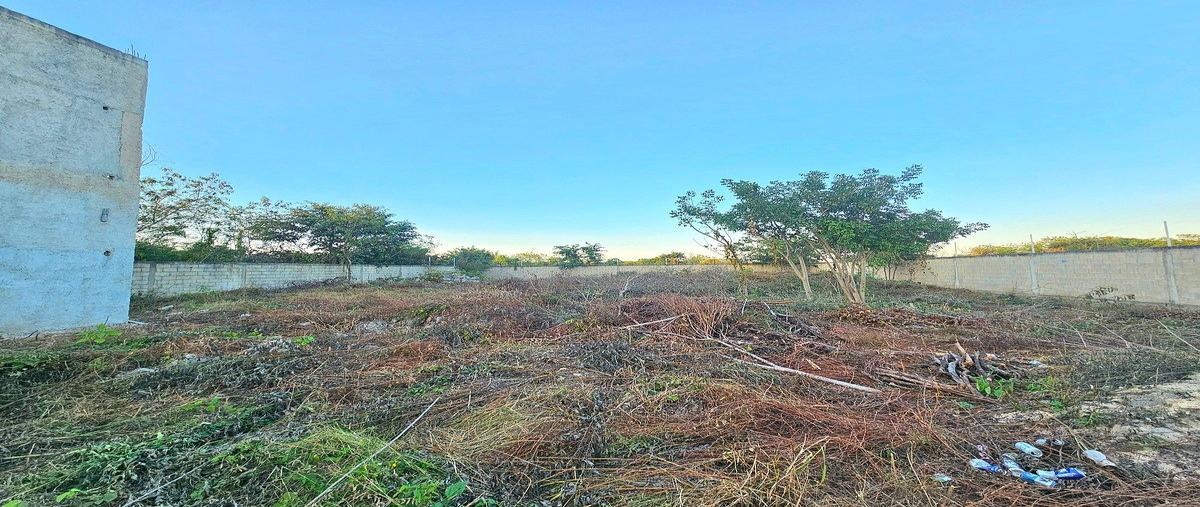 Foto de terreno habitacional en venta en 8 , conkal, conkal, yucatán, 0 No. 03