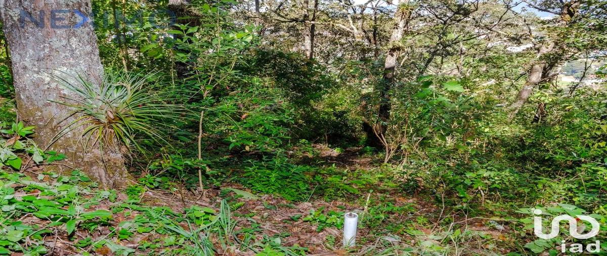 Foto de terreno habitacional en venta en 8 prolongacion rancho san nicolás , san nicolás, san cristóbal de las casas, chiapas, 0 No. 03