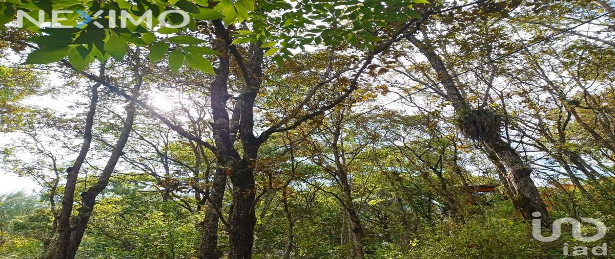 Foto de terreno habitacional en venta en 8 prolongacion rancho san nicolás , san nicolás, san cristóbal de las casas, chiapas, 0 No. 04