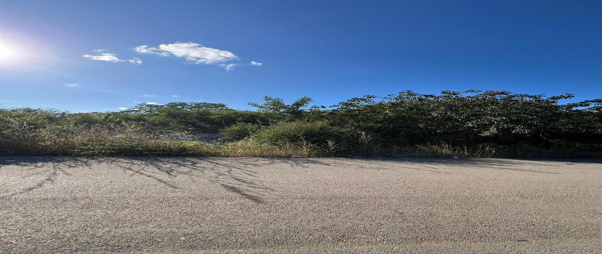 Foto de terreno habitacional en venta en 8 , temozon norte, mérida, yucatán, 0 No. 04