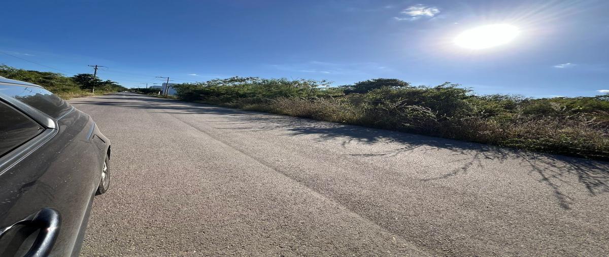 Foto de terreno habitacional en venta en 8 , temozon norte, mérida, yucatán, 0 No. 05