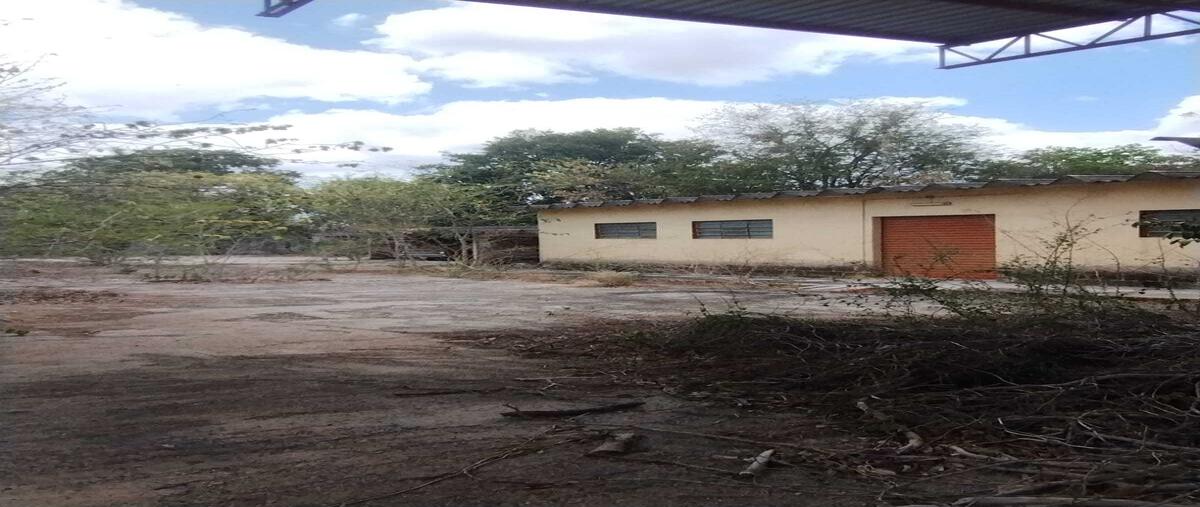 Foto de local en renta en 81 , obrera, mérida, yucatán, 29763717 No. 02
