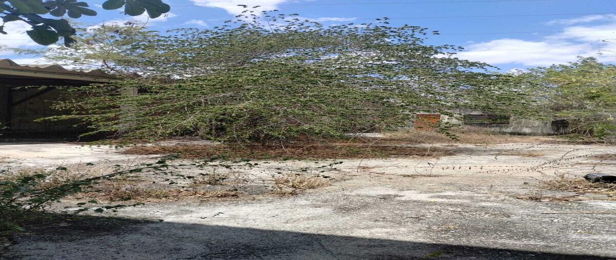 Foto de local en renta en 81 , obrera, mérida, yucatán, 29763717 No. 03