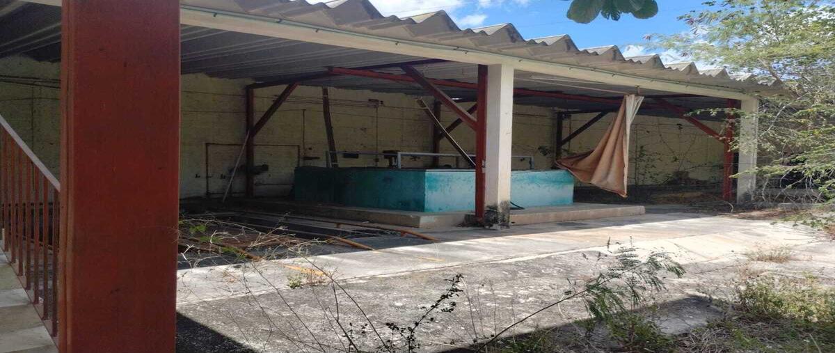 Foto de local en renta en 81 , obrera, mérida, yucatán, 29763717 No. 04