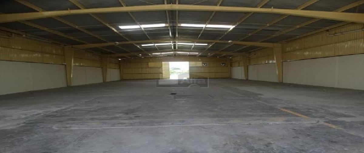 Foto de nave industrial en renta en 81-a 809, itzaes, mérida, yucatán, 0 No. 03
